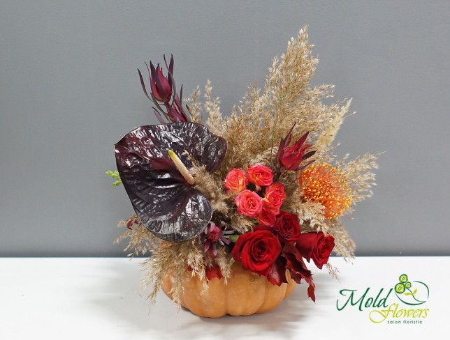 Arrangement with Red Roses, Anthurium, and Leucospermum with Pumpkin photo